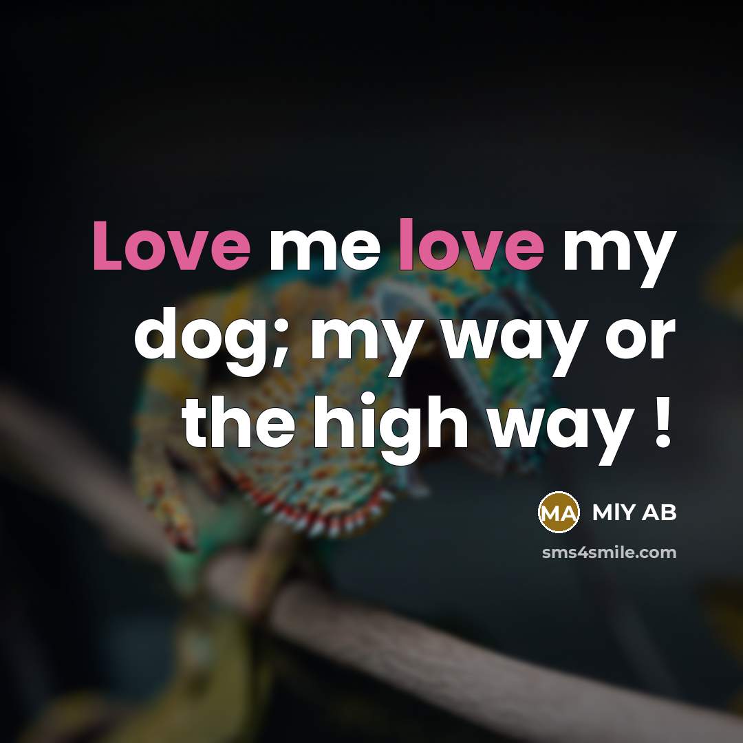 “Love me love my dog; my way or the high way !” quote by MlY AB