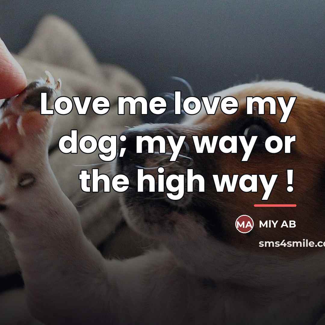 “Love me love my dog; my way or the high…” quote by MlY AB