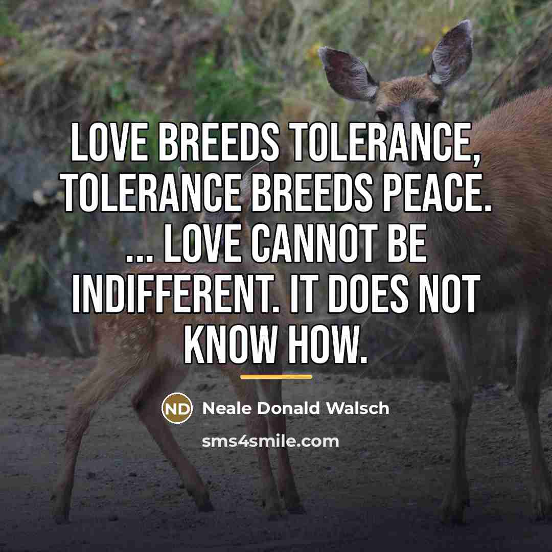 “Love breeds tolerance, tolerance breeds peace. ... Love cannot be…” quote by Neale Donald Walsch