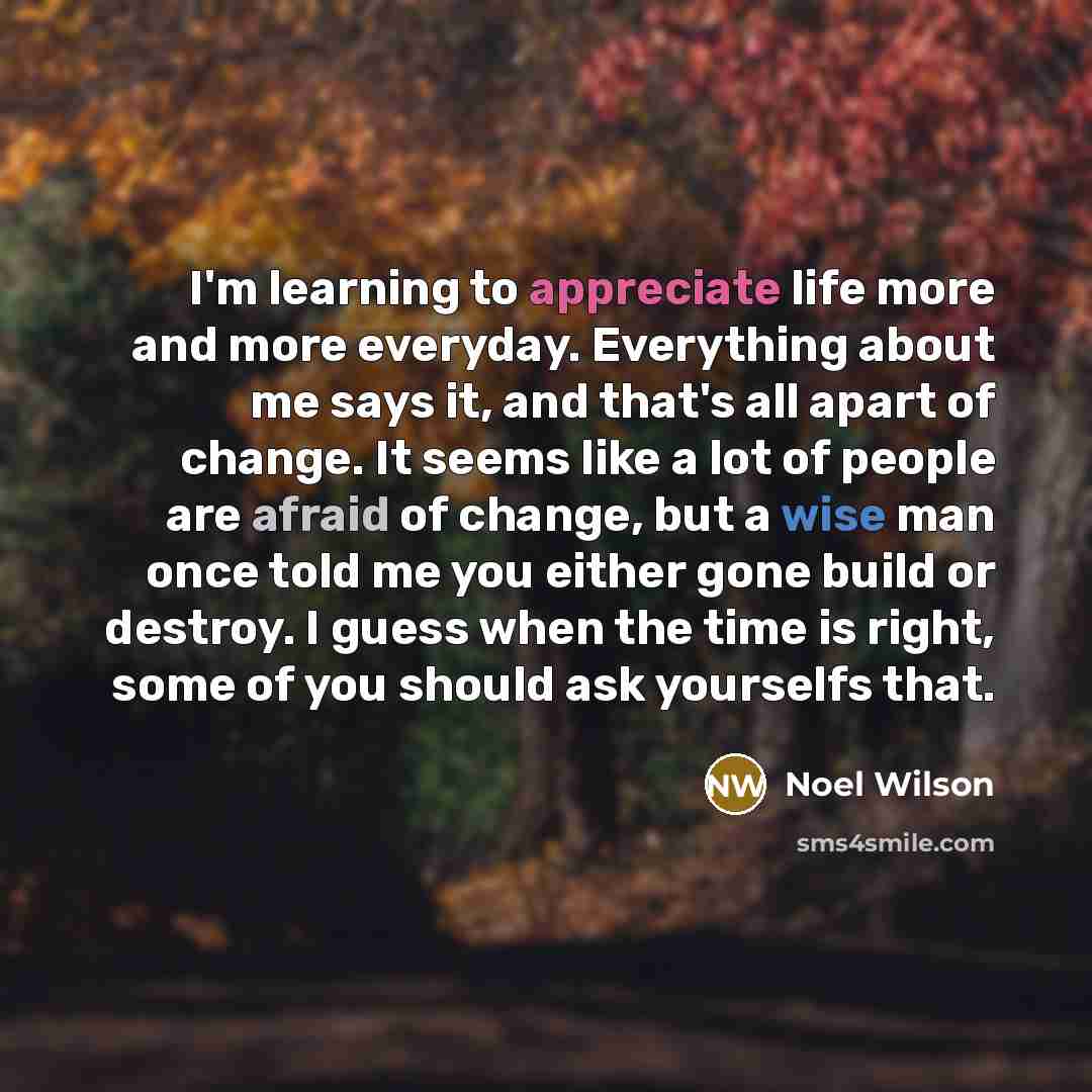 “I'm learning to appreciate life more and more everyday. Everything…” quote by Noel Wilson
