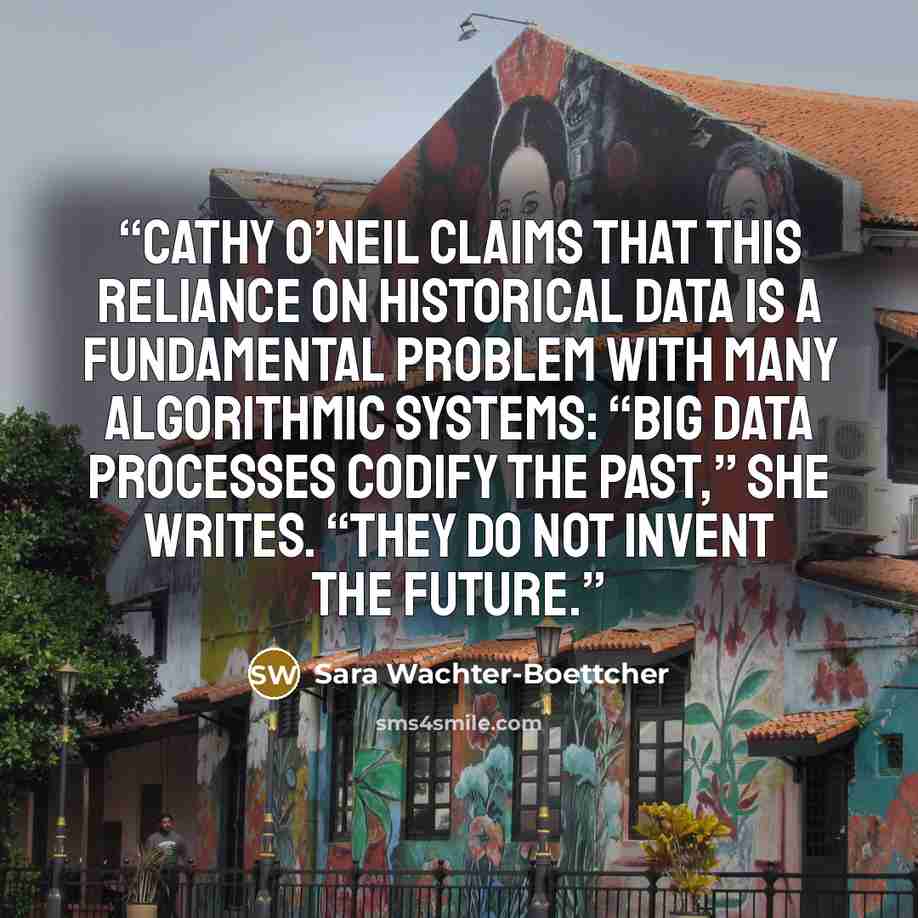 “Cathy O’Neil claims that this reliance on historical data is a fundamental problem with many algorithmic systems: “Big data processes codify the past,” she writes. “They do not invent the future.” quote by Sara Wachter-Boettcher