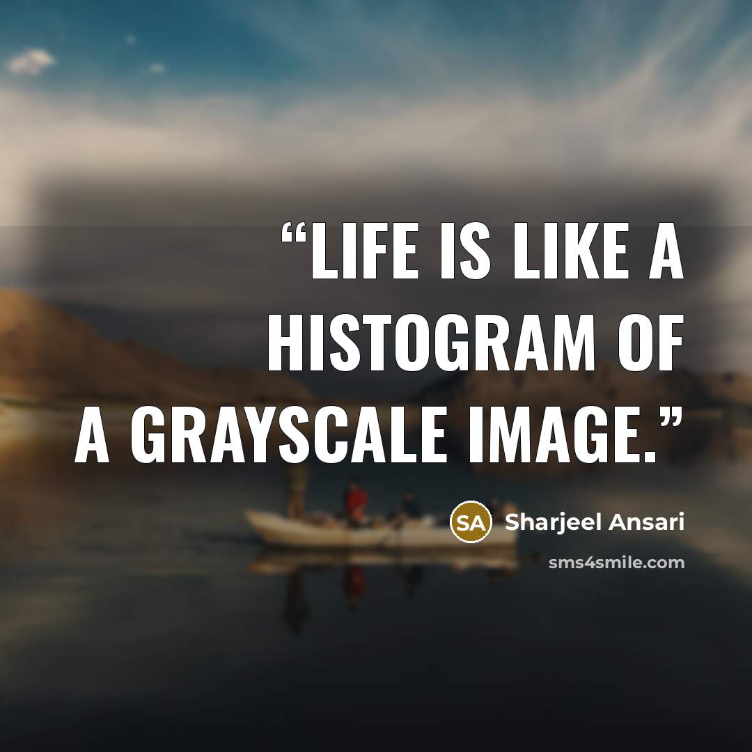 “Life is like a histogram of a grayscale image.” quote by Sharjeel Ansari