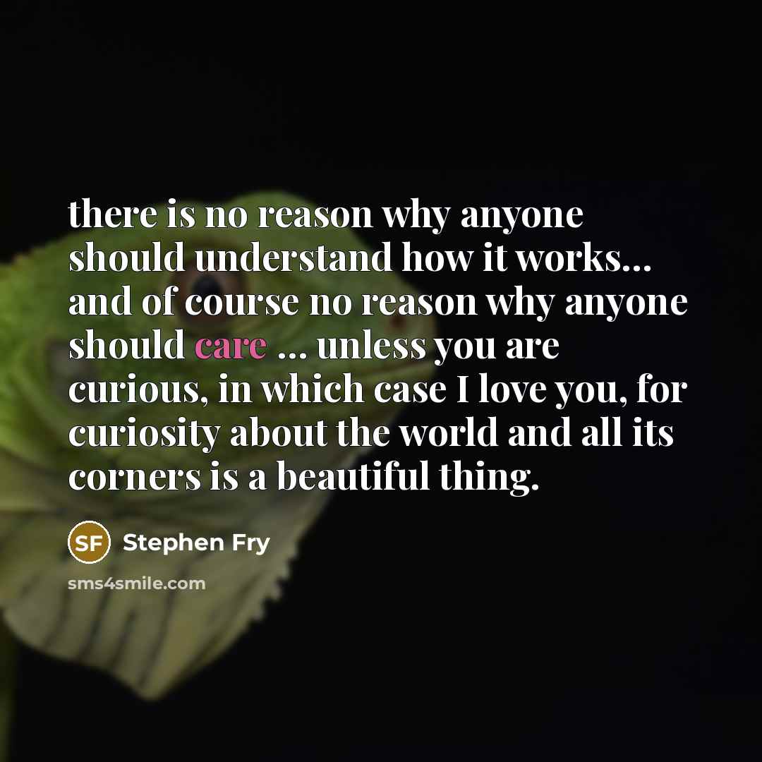“there is no reason why anyone should understand how it…” quote by Stephen Fry