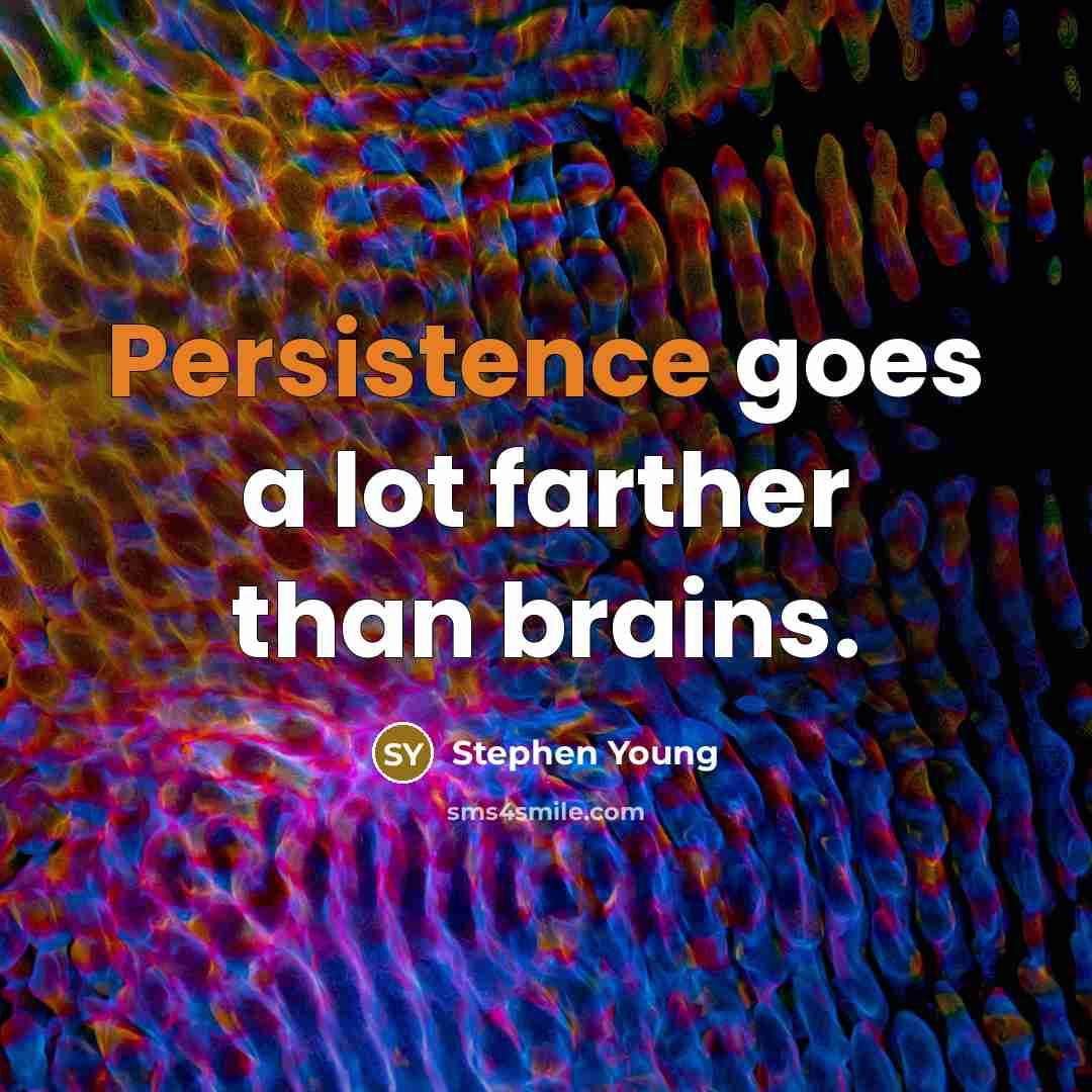 “Persistence goes a lot farther than brains.…” quote by Stephen Young