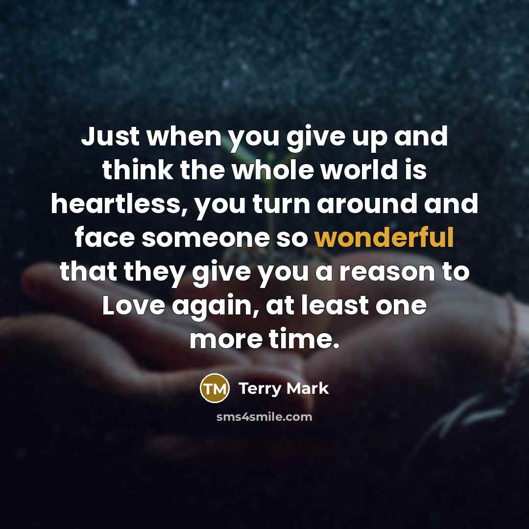“Just when you give up and think the whole world…” quote by Terry Mark