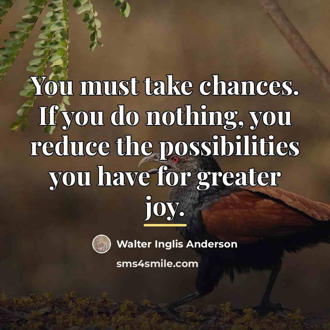 “You must take chances. If you do nothing, you reduce…” quote by Walter Inglis Anderson
