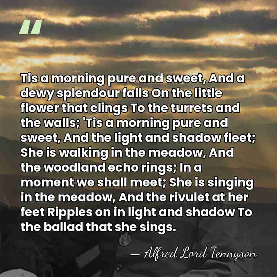 Tis a morning pure and sweet, And a dewy splendour falls On&hellip; - Alfred Lord Tennyson