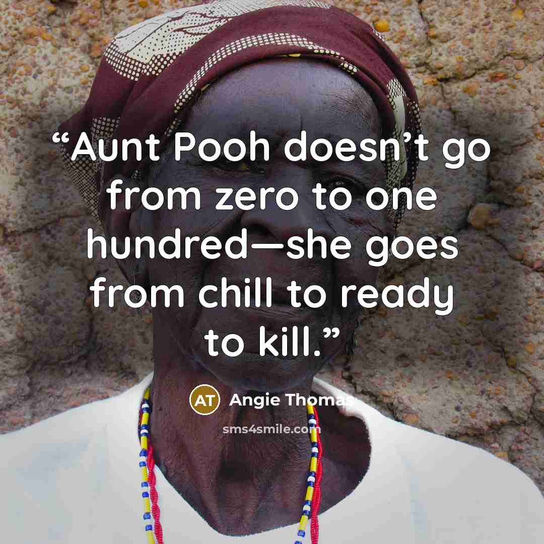 “Aunt Pooh doesn’t go from zero to one hundred—she goes from chill to ready to kill.” quote by Angie Thomas