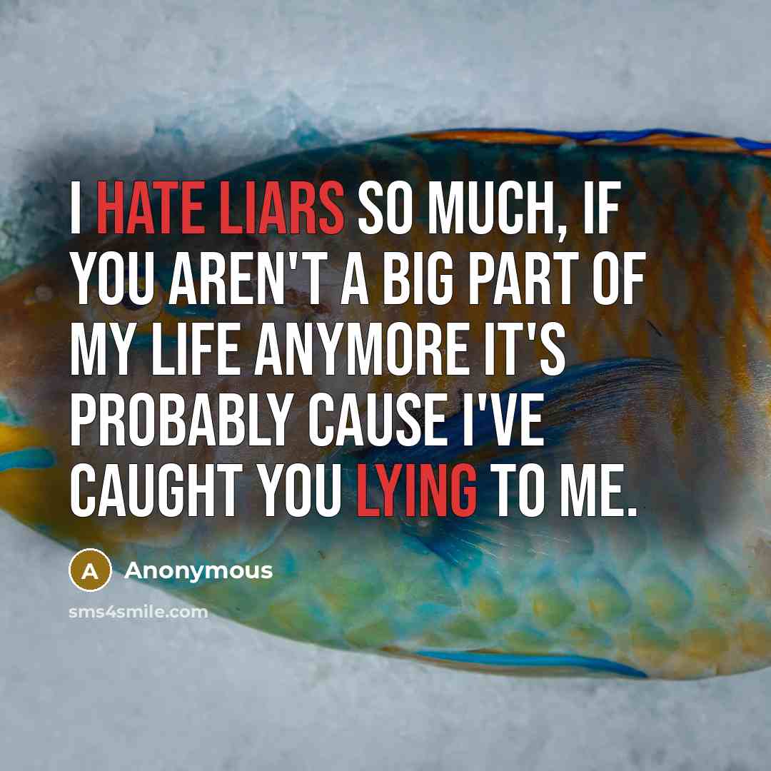 “I hate liars so much, if you aren't a big part of my life anymore it's probably cause i've caught you lying to me.” quote by Anonymous