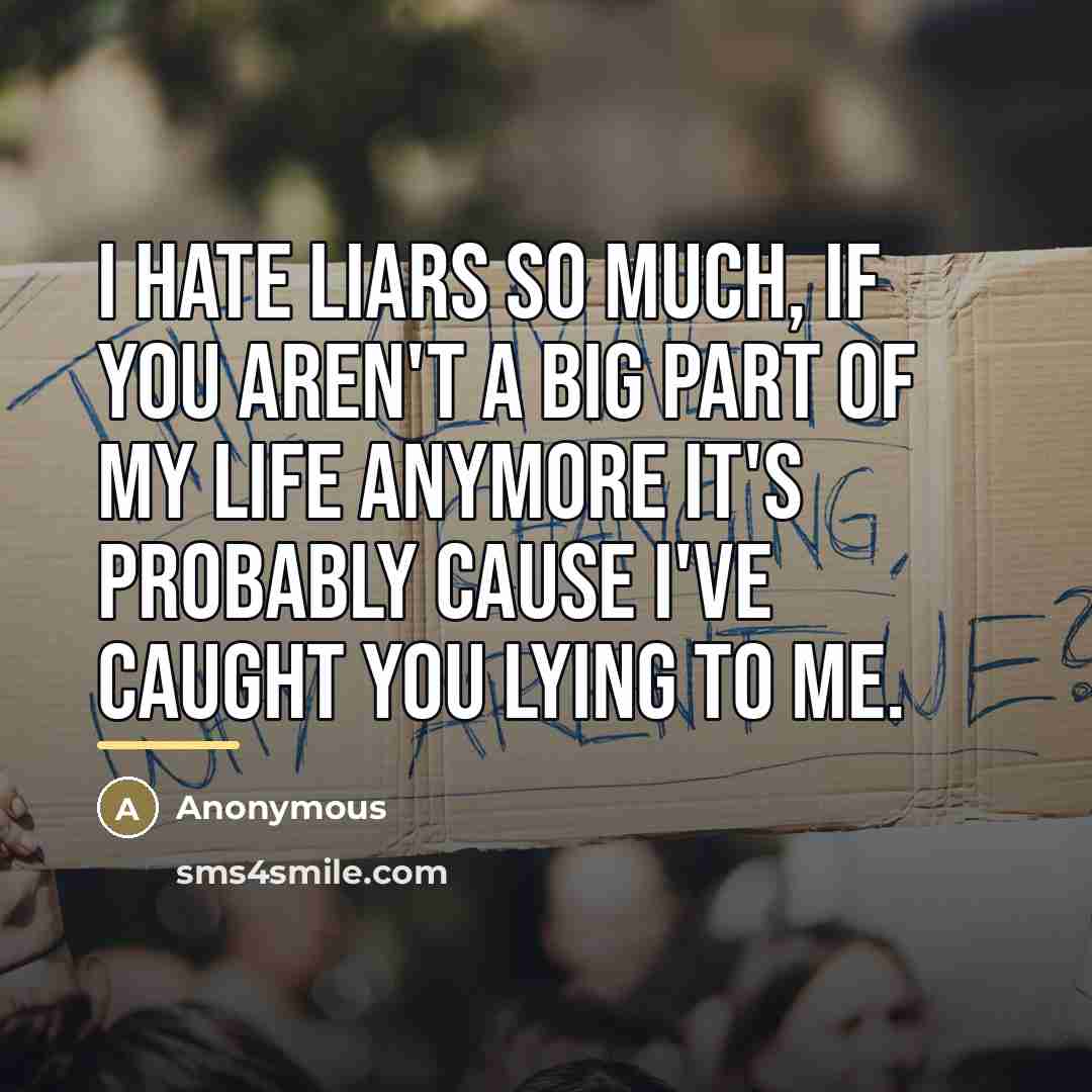“I hate liars so much, if you aren't a big…” quote by Anonymous