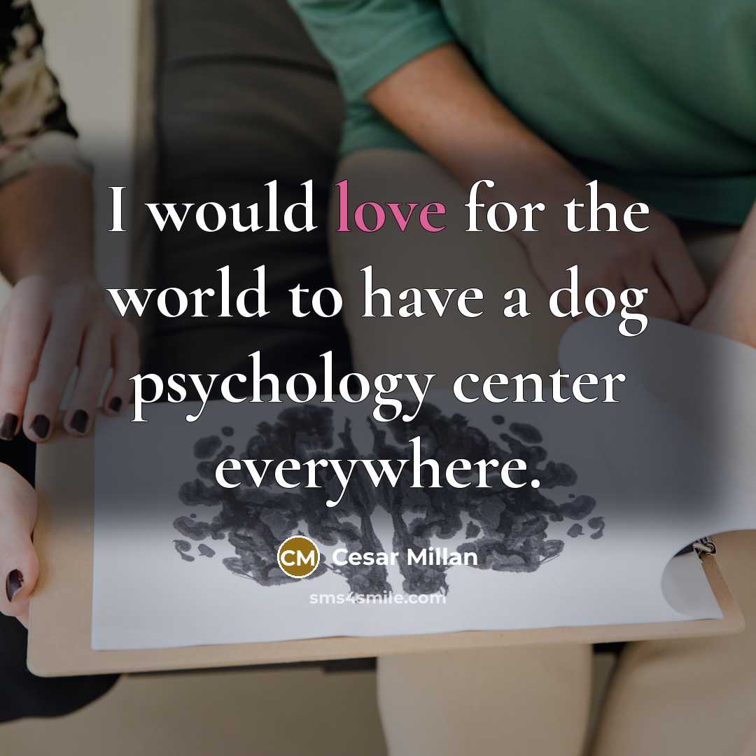 “I would love for the world to have a dog…” quote by Cesar Millan