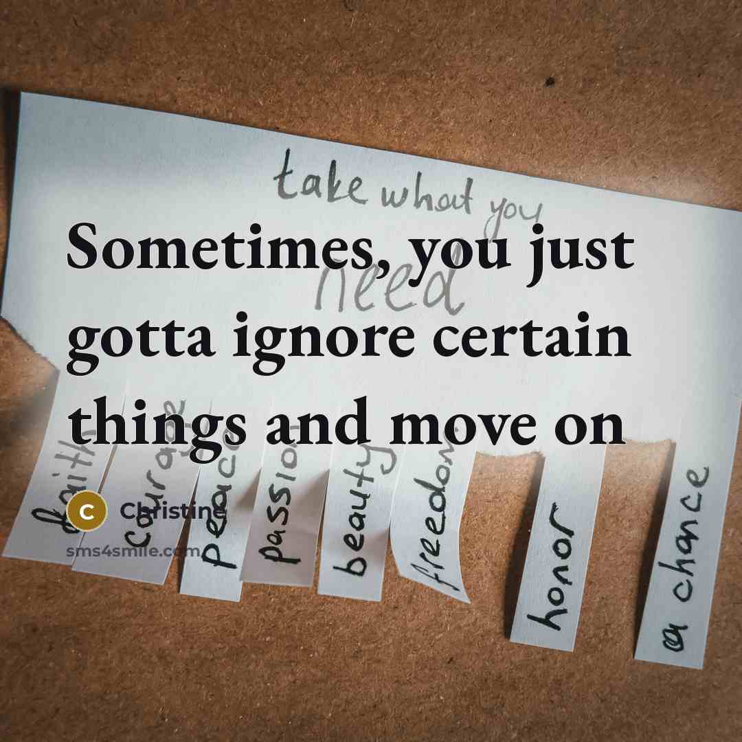 “Sometimes, you just gotta ignore certain things and move on…” quote by Christine