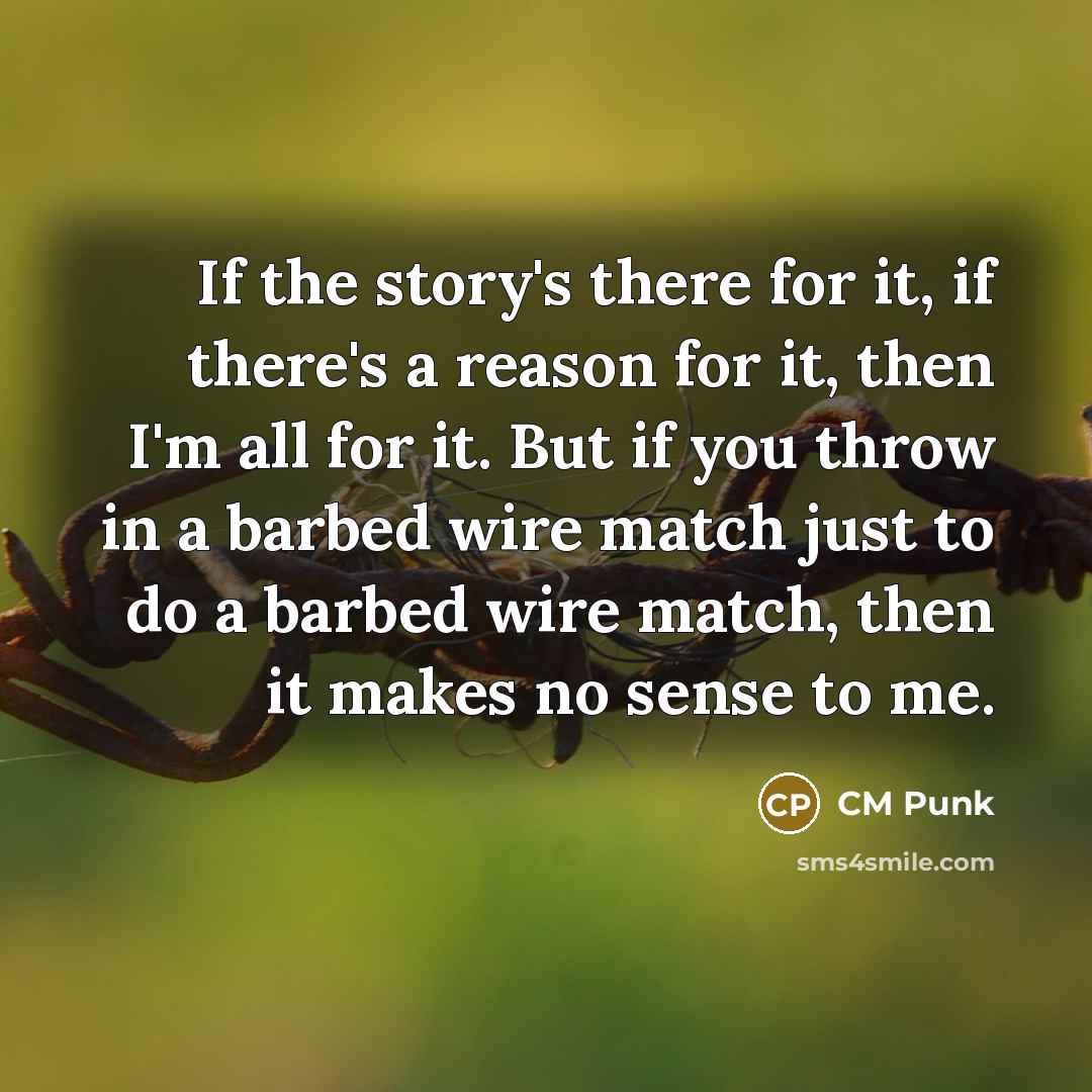“If the story's there for it, if there's a reason…” quote by CM Punk