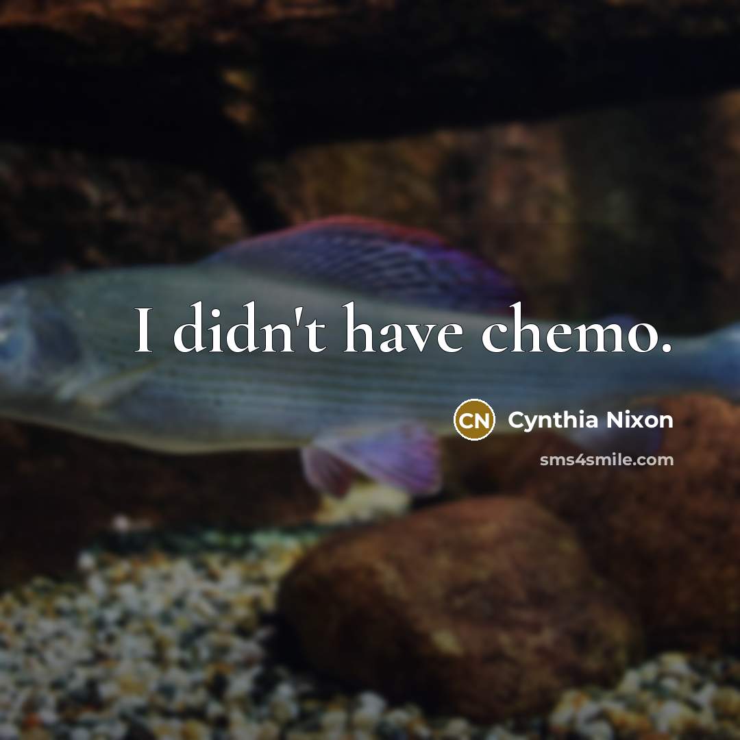 “I didn't have chemo.” quote by Cynthia Nixon