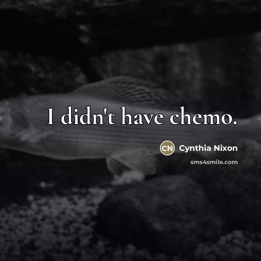 “I didn't have chemo.…” quote by Cynthia Nixon