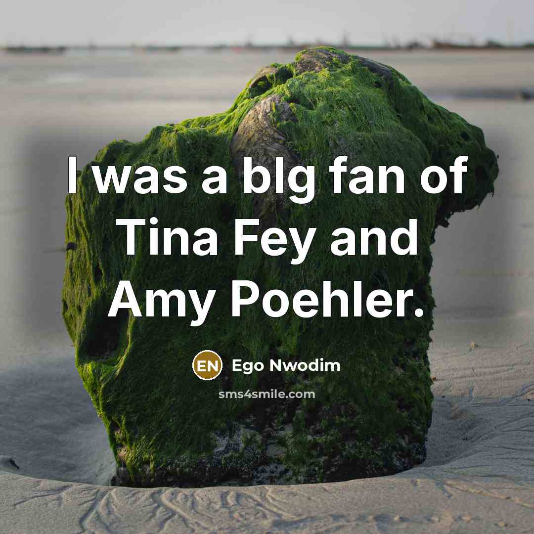 “I was a bIg fan of Tina Fey and Amy…” quote by Ego Nwodim