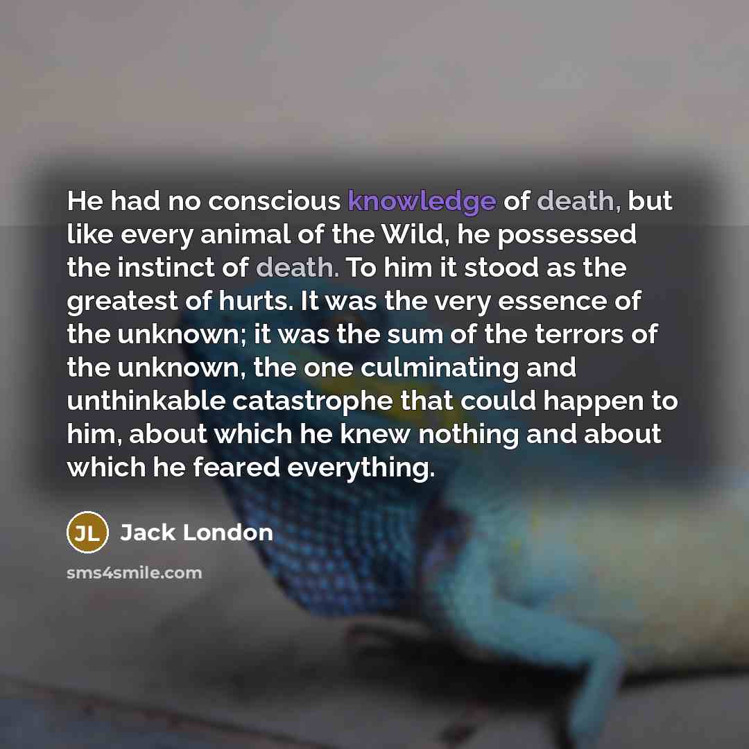 “He had no conscious knowledge of death, but like every…” quote by Jack London