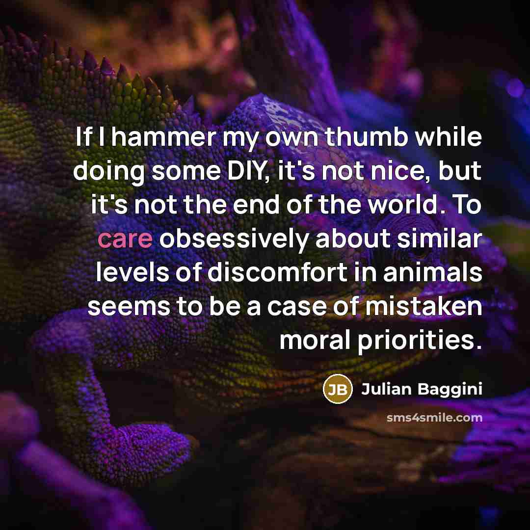 “If I hammer my own thumb while doing some DIY,…” quote by Julian Baggini