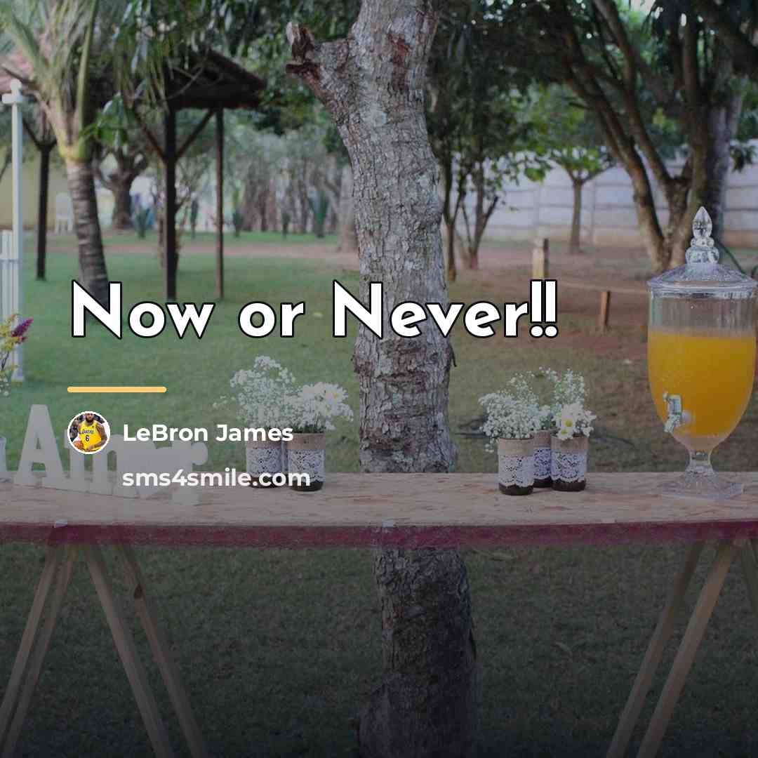 “Now or Never!!…” quote by Lebron James