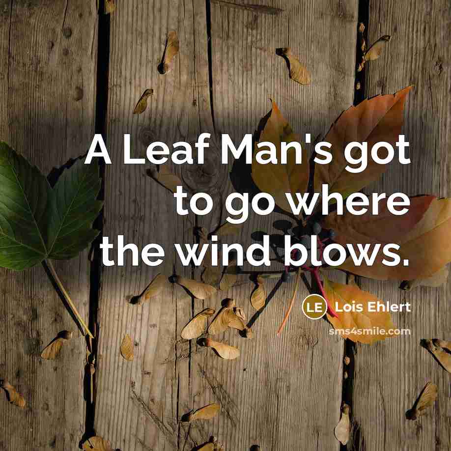 “A Leaf Man's got to go where the wind blows.…” quote by Lois Ehlert