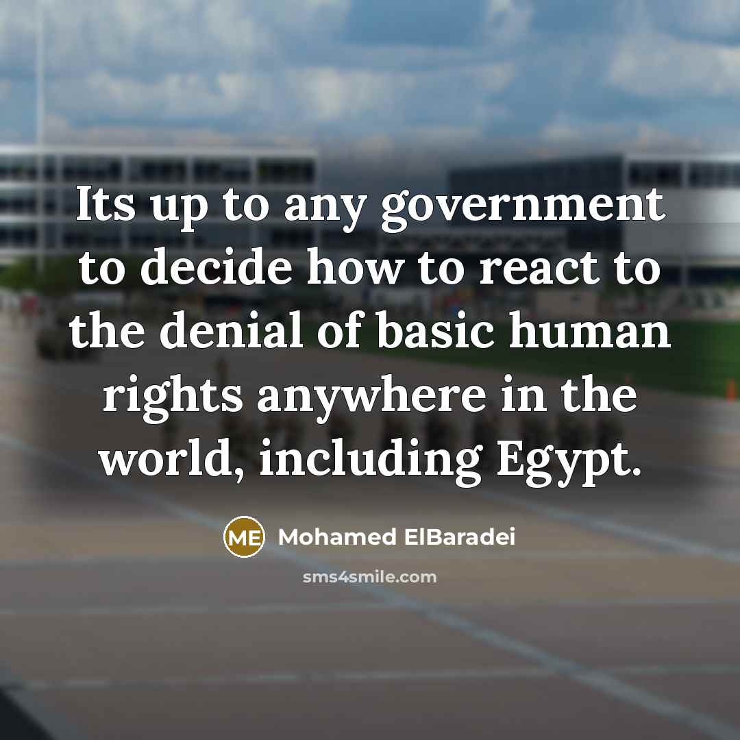 “Its up to any government to decide how to react…” quote by Mohamed ElBaradei