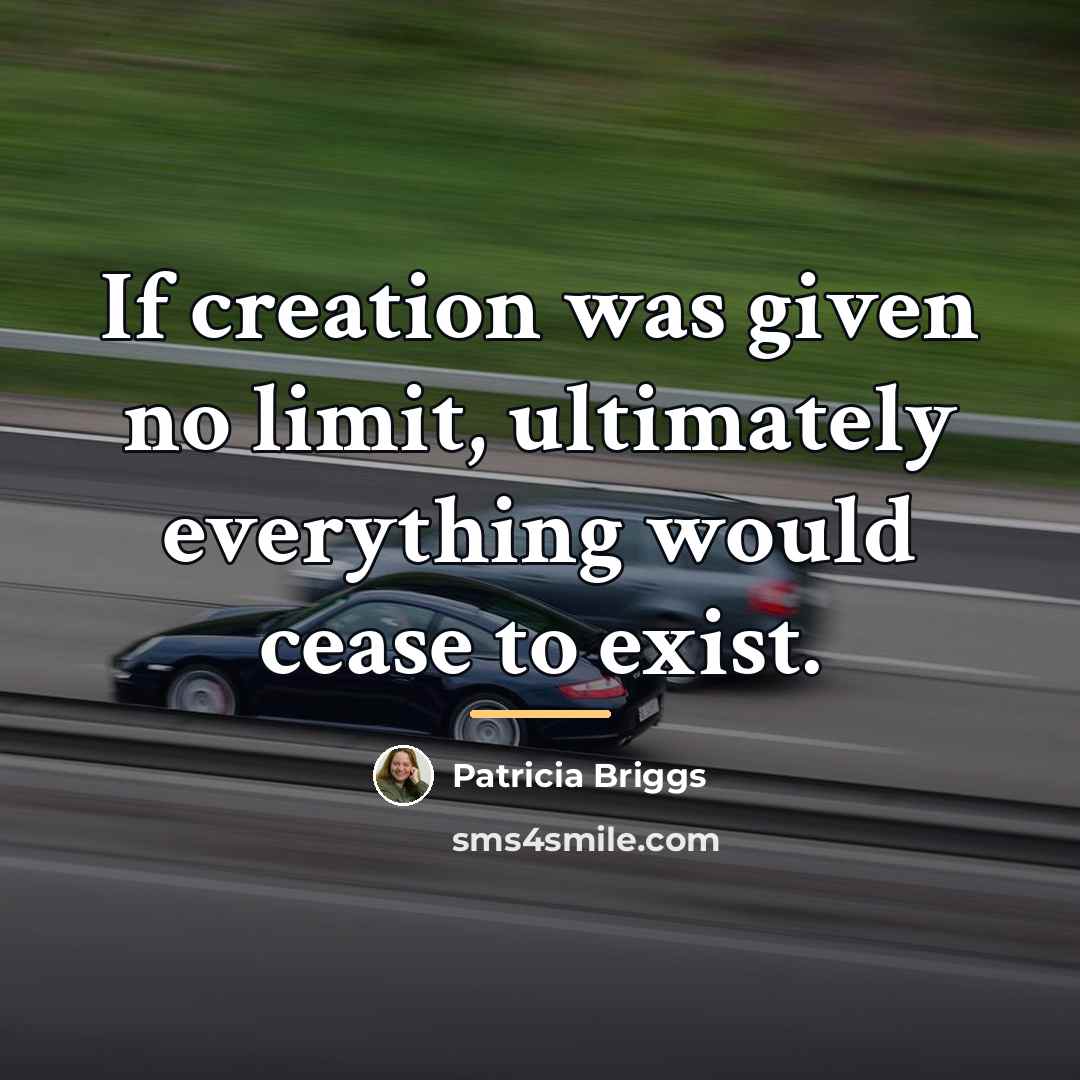 “If creation was given no limit, ultimately everything would cease…” quote by Patricia Briggs