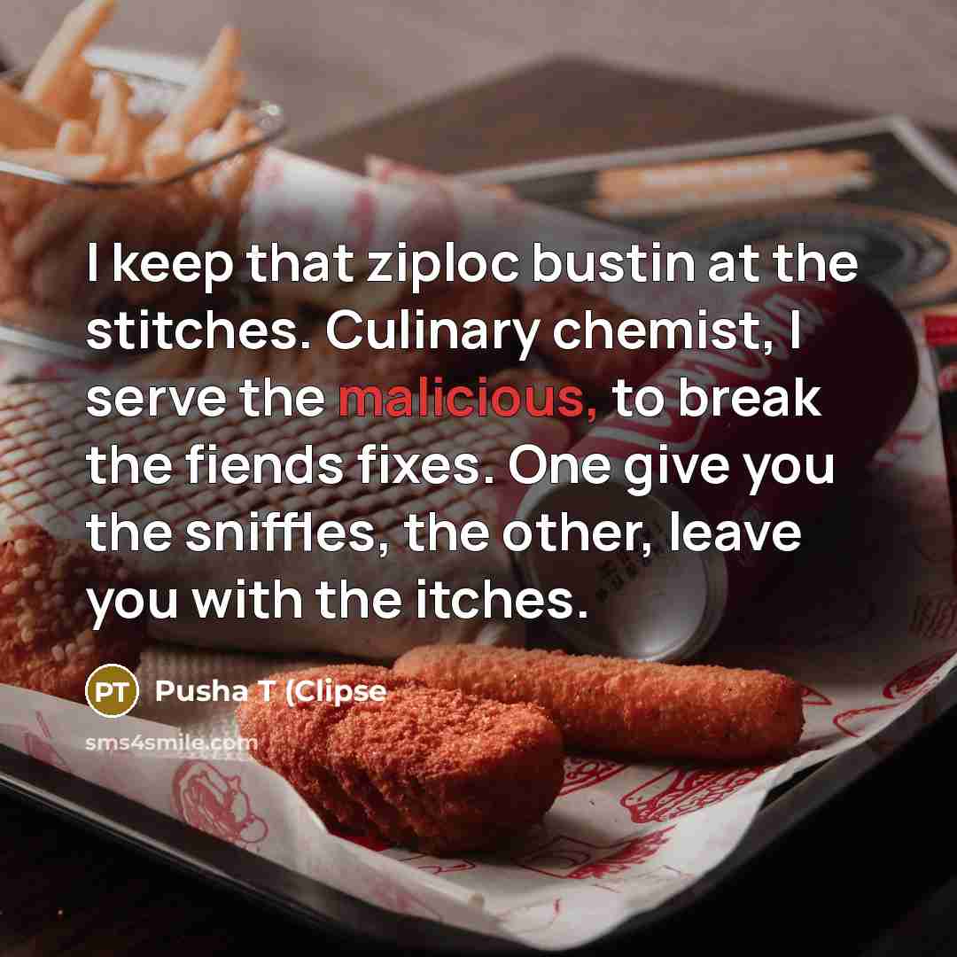 “I keep that ziploc bustin at the stitches. Culinary chemist,…” quote by Pusha T (Clipse