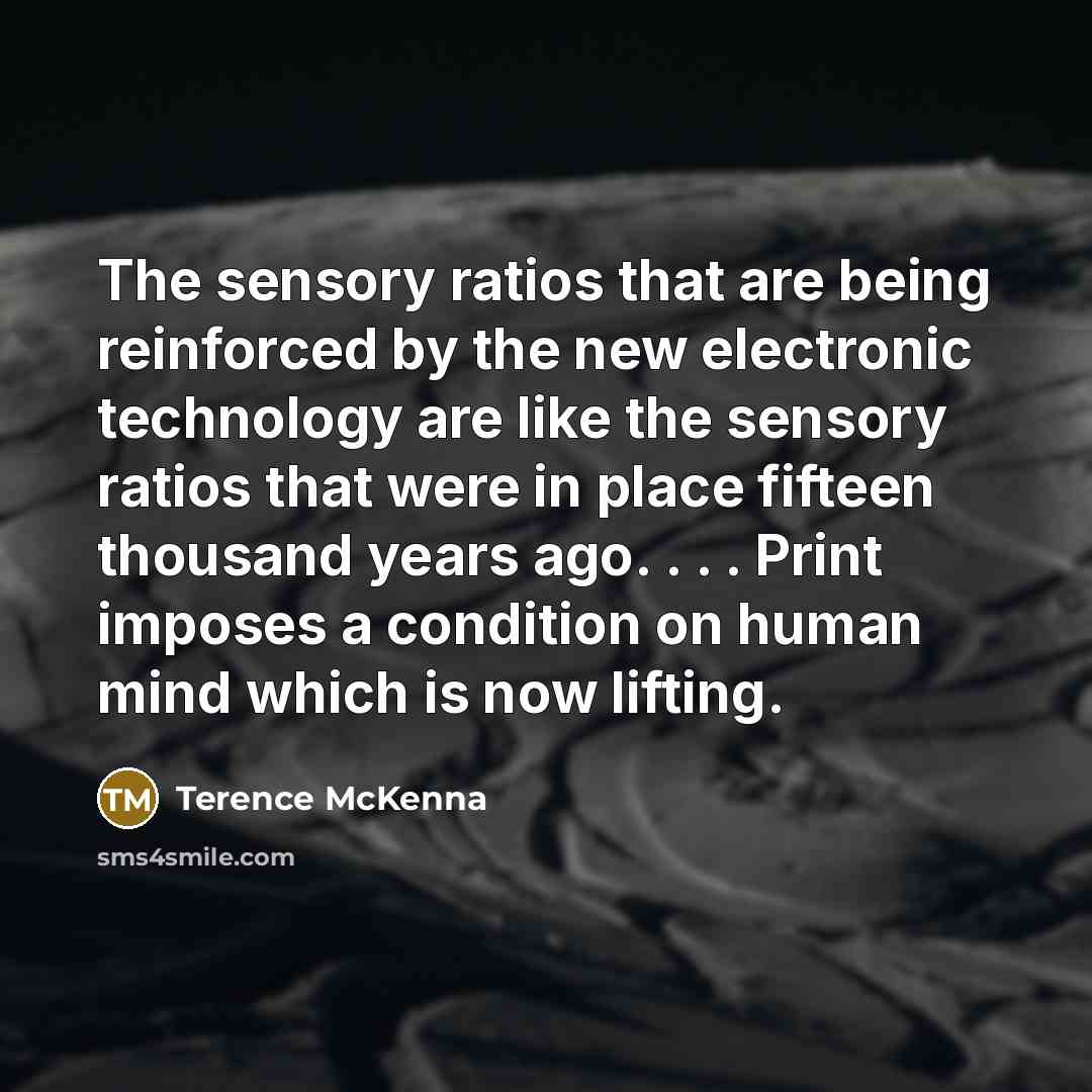 “The sensory ratios that are being reinforced by the new…” quote by Terence McKenna