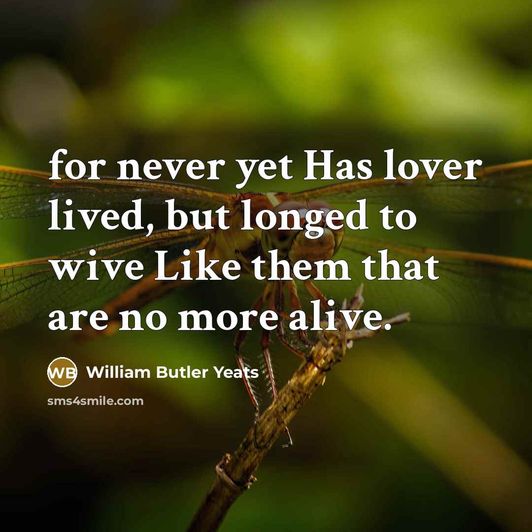 “for never yet Has lover lived, but longed to wive…” quote by William Butler Yeats