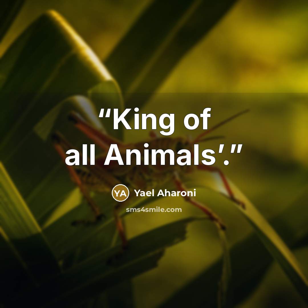 “King of all Animals’.” quote by Yael Aharoni