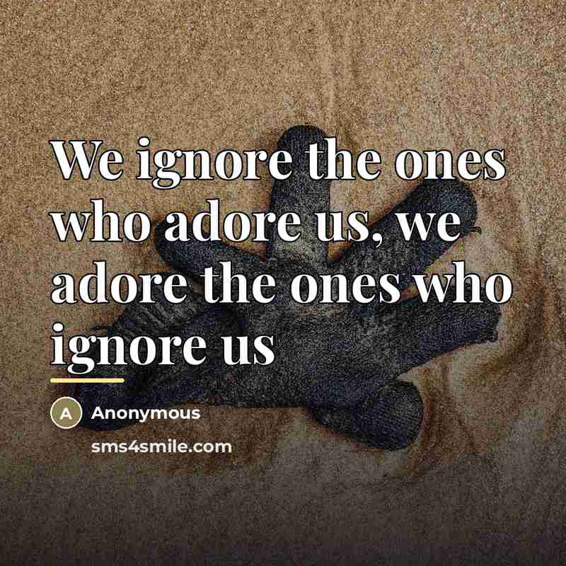 “We ignore the ones who adore us, we adore the…” quote by Anonymous