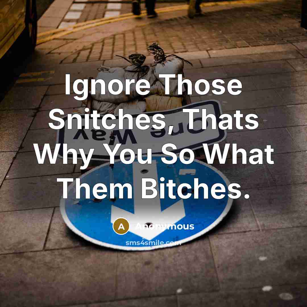 “Ignore Those Snitches, Thats Why You So What Them Bitches.…” quote by Anonymous