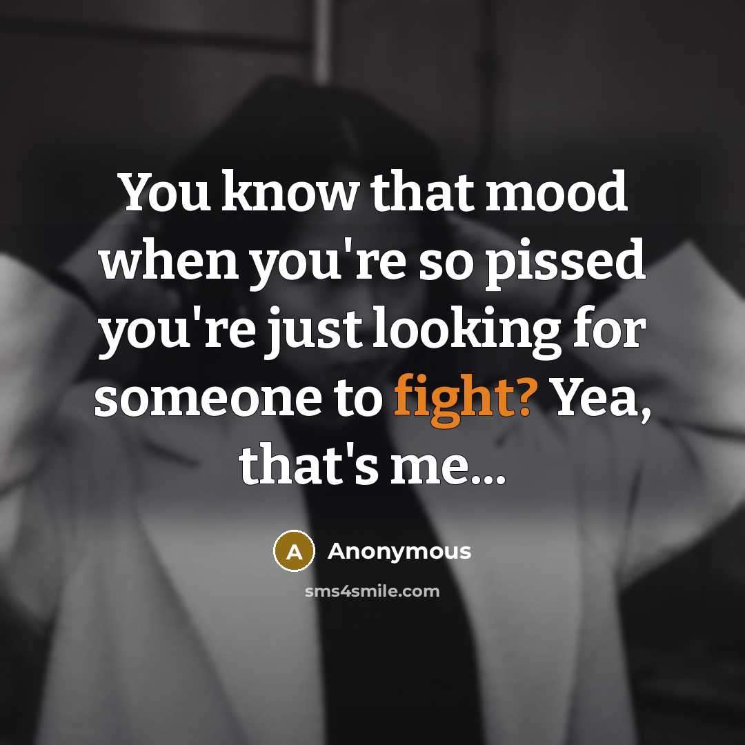 “You know that mood when you're so pissed you're just looking for someone to fight? Yea, that's me...” quote by Anonymous