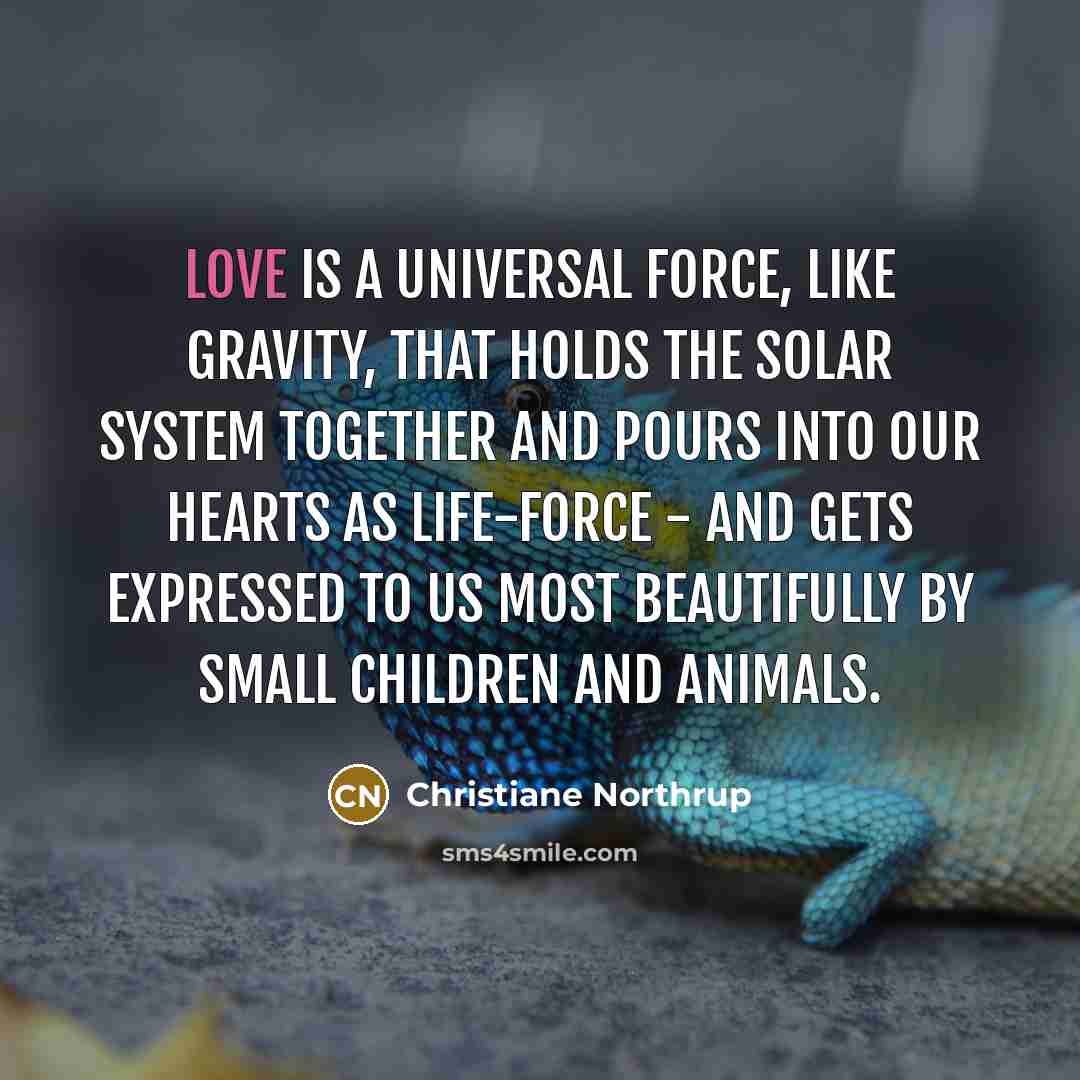 “Love is a universal force, like gravity, that holds the…” quote by Christiane Northrup