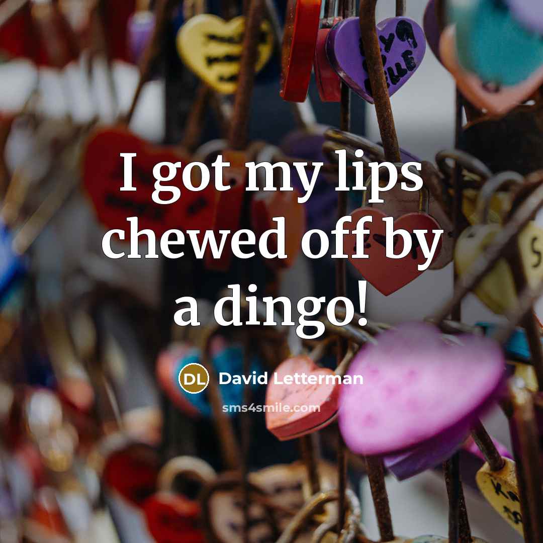 “I got my lips chewed off by a dingo!…” quote by David Letterman