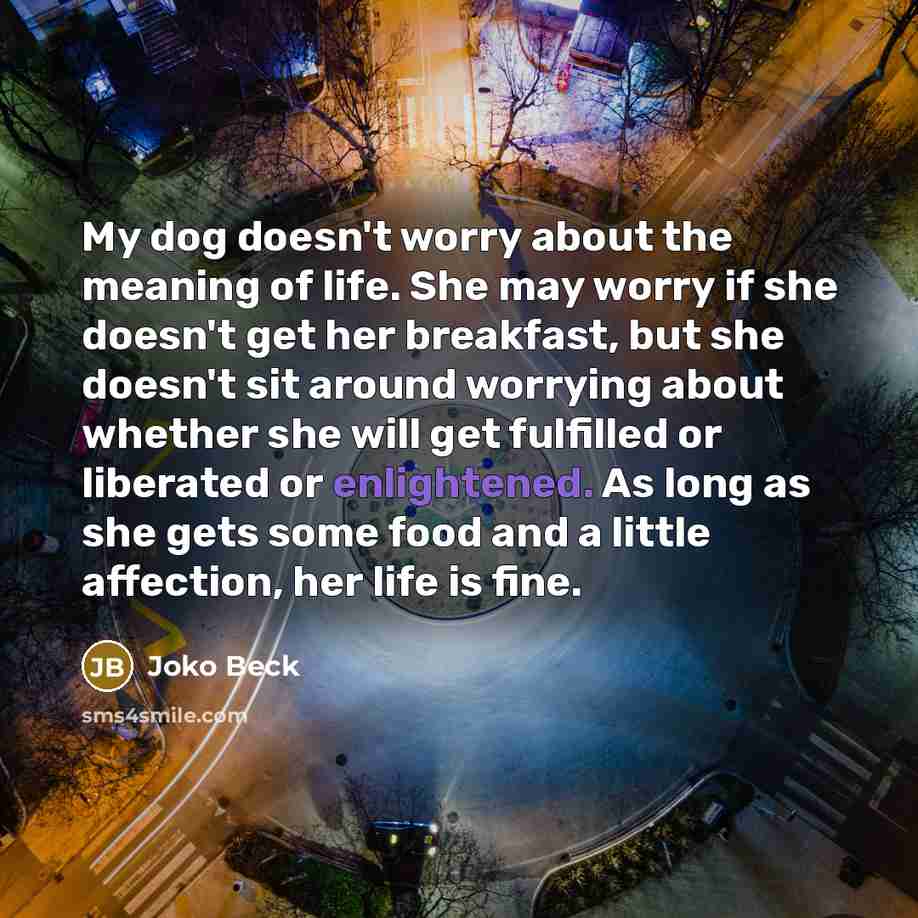 “My dog doesn't worry about the meaning of life. She…” quote by Joko Beck