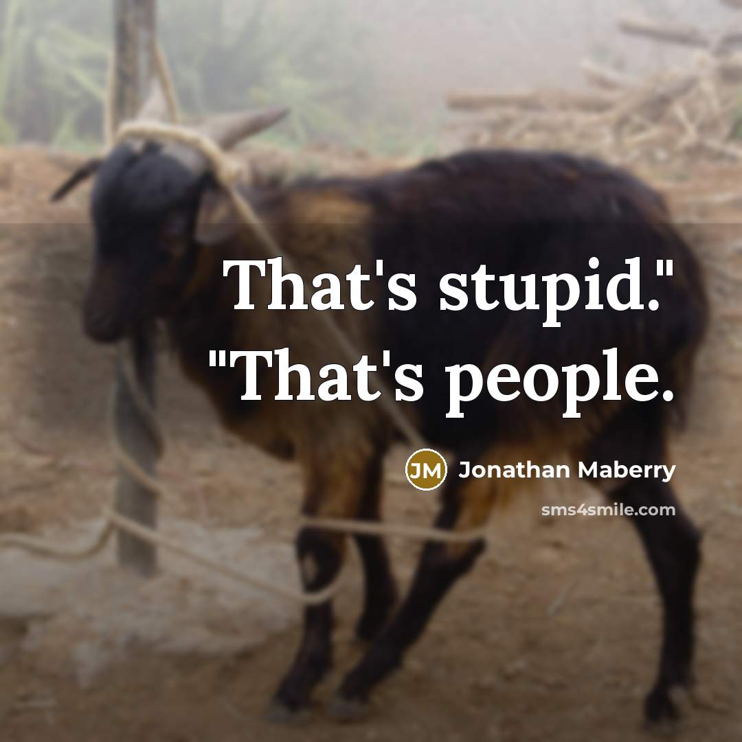 “That's stupid." "That's people.…” quote by Jonathan Maberry