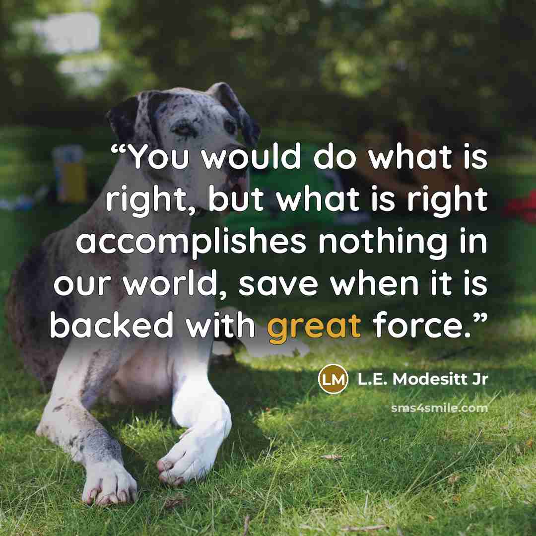 “You would do what is right, but what is right accomplishes nothing in our world, save when it is backed with great force.” quote by L.E. Modesitt Jr