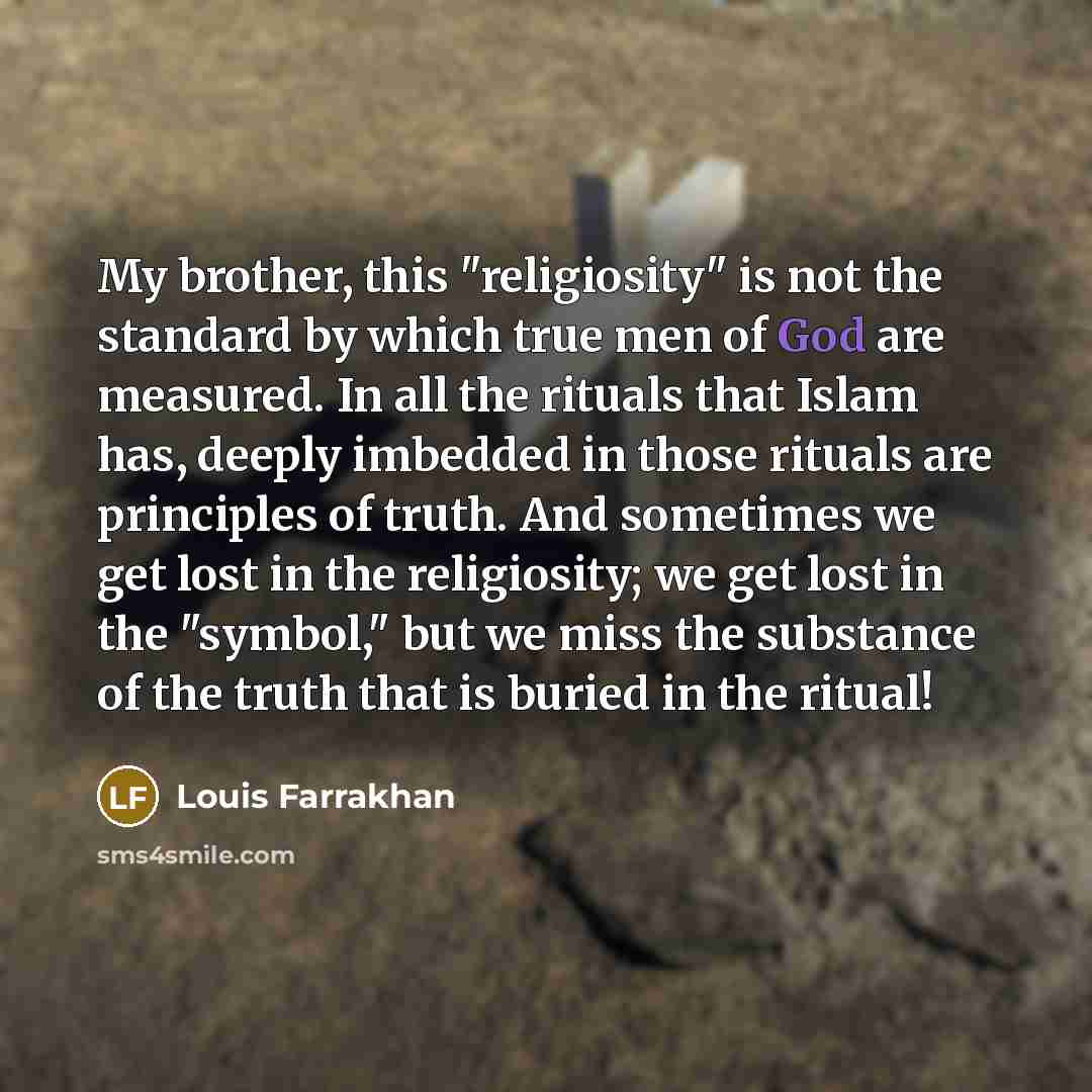 “My brother, this "religiosity" is not the standard by which…” quote by Louis Farrakhan
