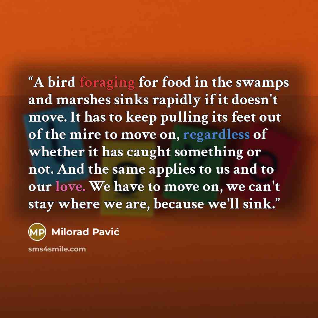 “A bird foraging for food in the swamps and marshes sinks rapidly if it doesn't move. It has to keep pulling its feet out of the mire to move on, regardless of whether it has caught something or not. And the same applies to us and to our love. We have to move on, we can't stay where we are, because…” quote by Milorad Pavić