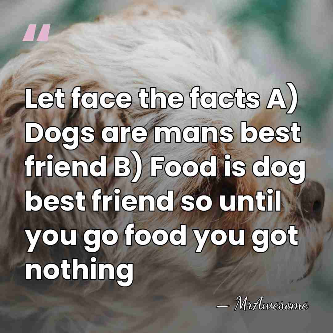 Let face the facts A) Dogs are mans best friend B) Food&hellip; - MrAwesome