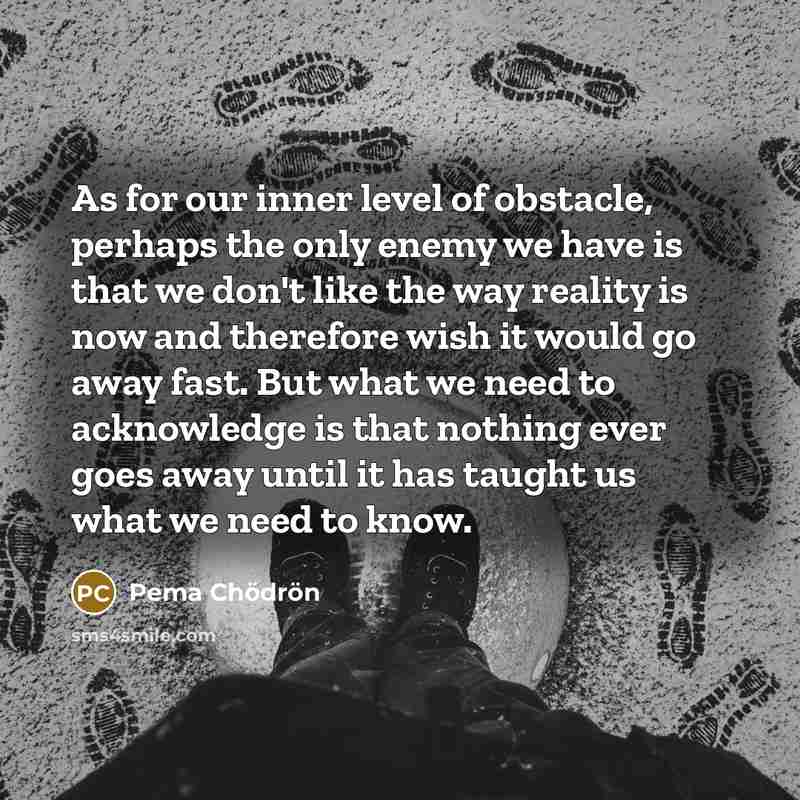 “As for our inner level of obstacle, perhaps the only…” quote by Pema Chodron