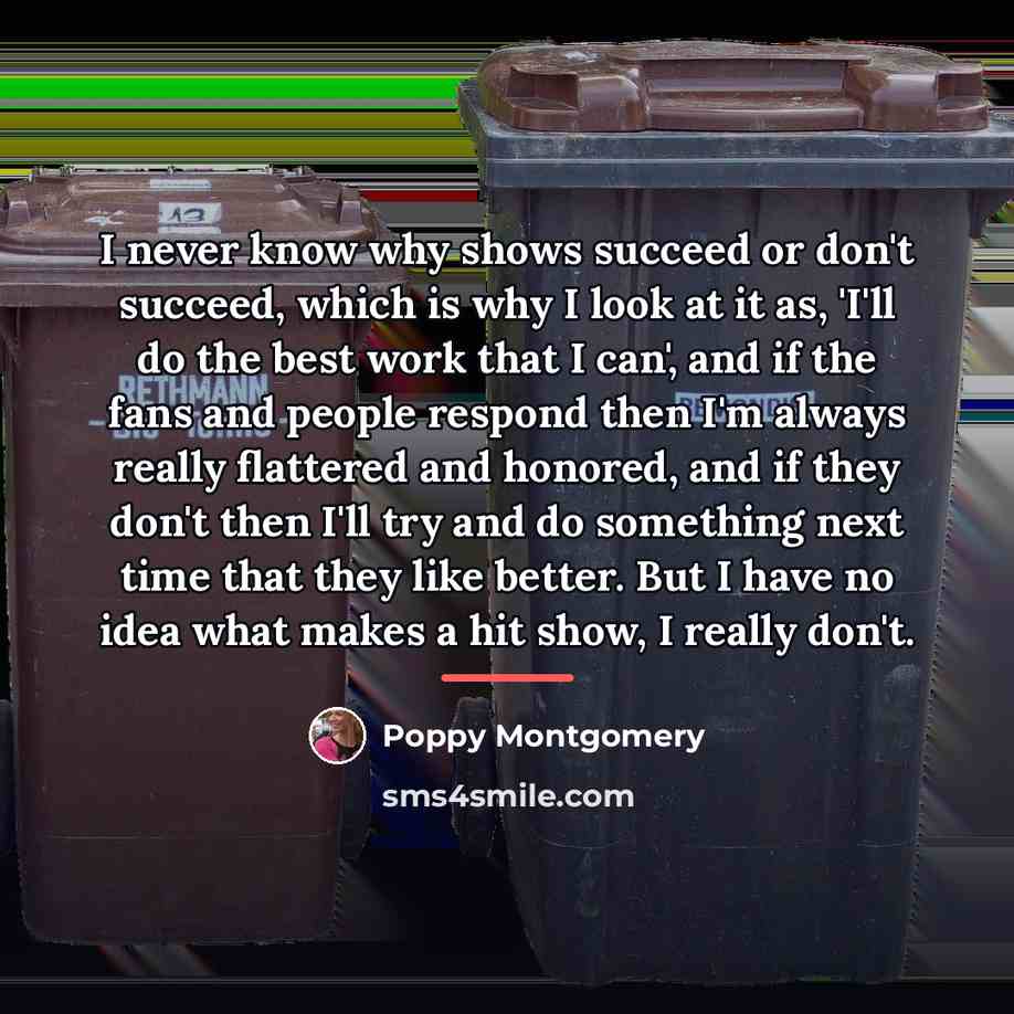 “I never know why shows succeed or don't succeed, which…” quote by Poppy Montgomery