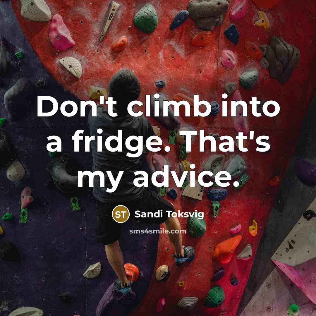 “Don't climb into a fridge. That's my advice.…” quote by Sandi Toksvig