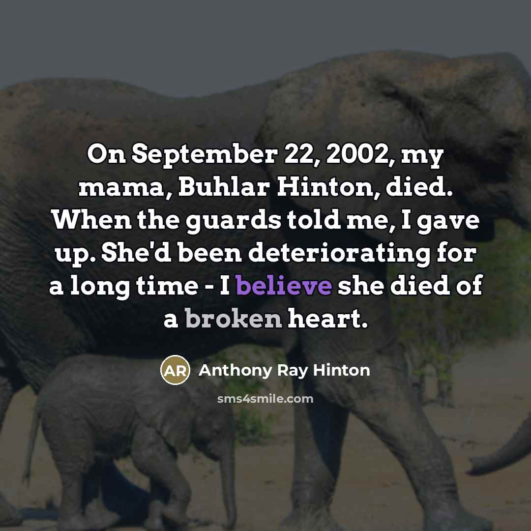 “On September 22, 2002, my mama, Buhlar Hinton, died. When…” quote by Anthony Ray Hinton