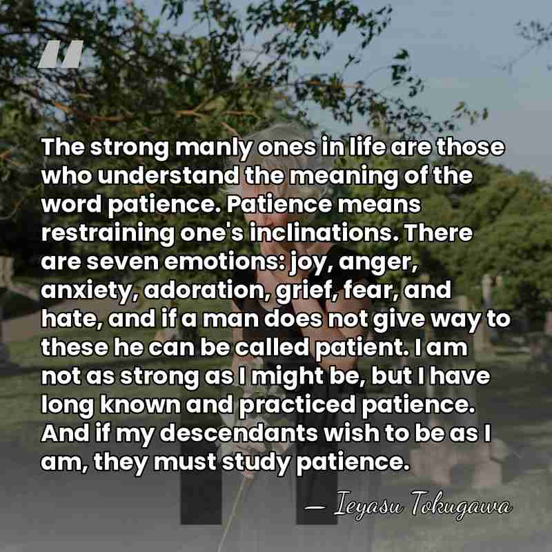 The strong manly ones in life are those who understand the meaning&hellip; - Ieyasu Tokugawa