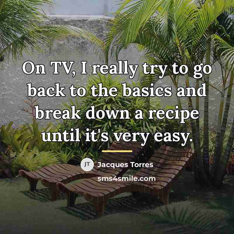 “On TV, I really try to go back to the…” quote by Jacques Torres