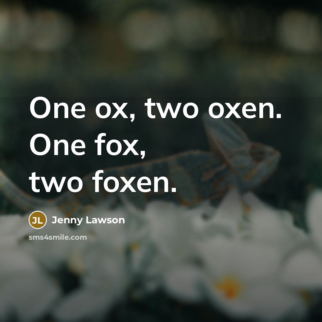 “One ox, two oxen. One fox, two foxen.” quote by Jenny Lawson
