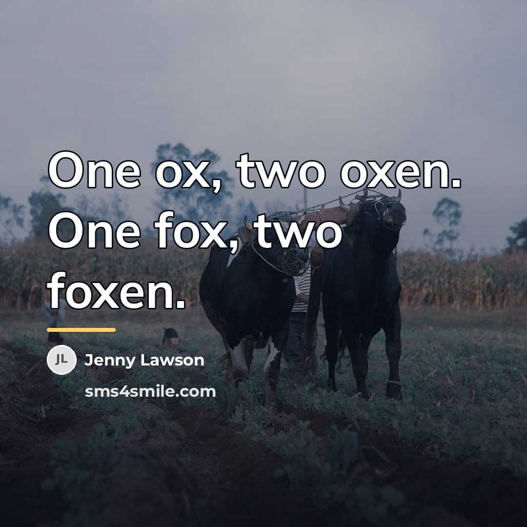 “One ox, two oxen. One fox, two foxen.…” quote by Jenny Lawson