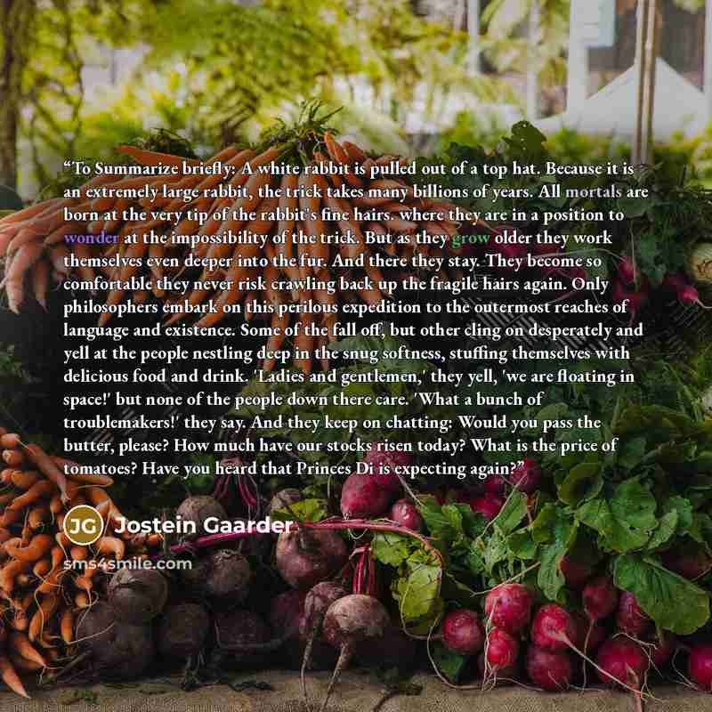 “To Summarize briefly: A white rabbit is pulled out of a top hat. Because it is an extremely large rabbit, the trick takes many billions of years. All mortals are born at the very tip of the rabbit's fine hairs. where they are in a position to wonder at the impossibility of the trick. But as they…” quote by Jostein Gaarder